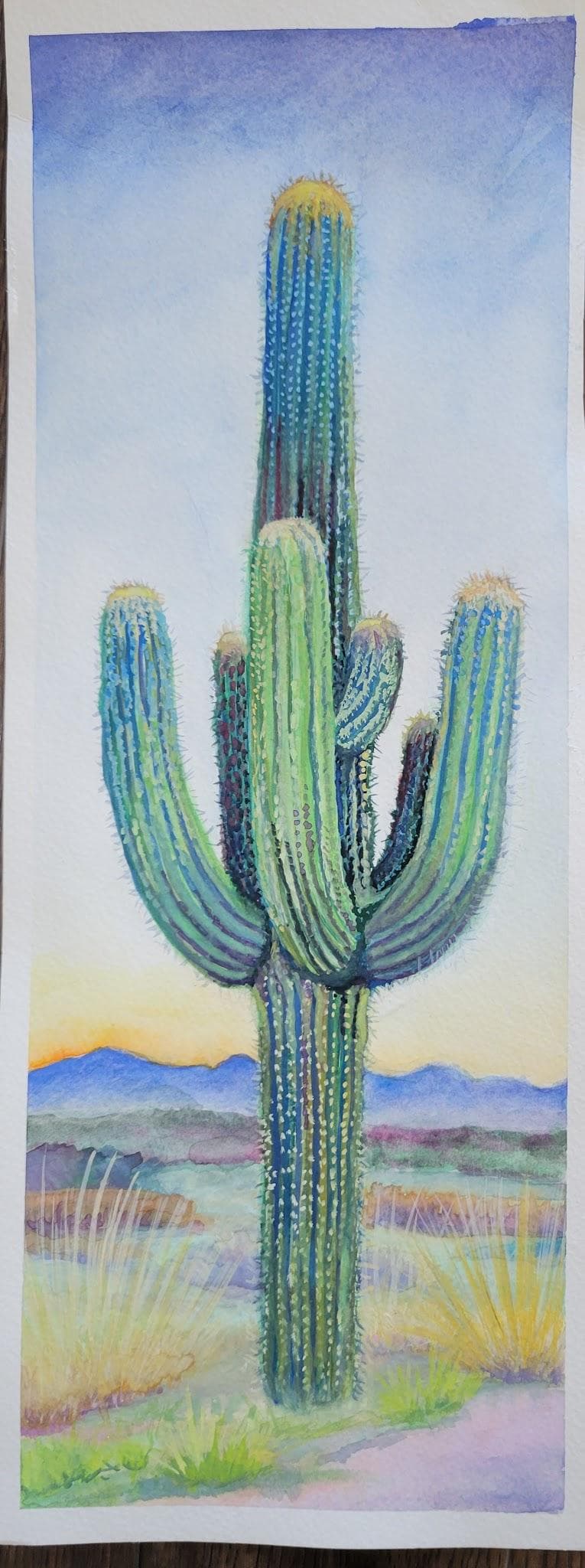 Cactuses